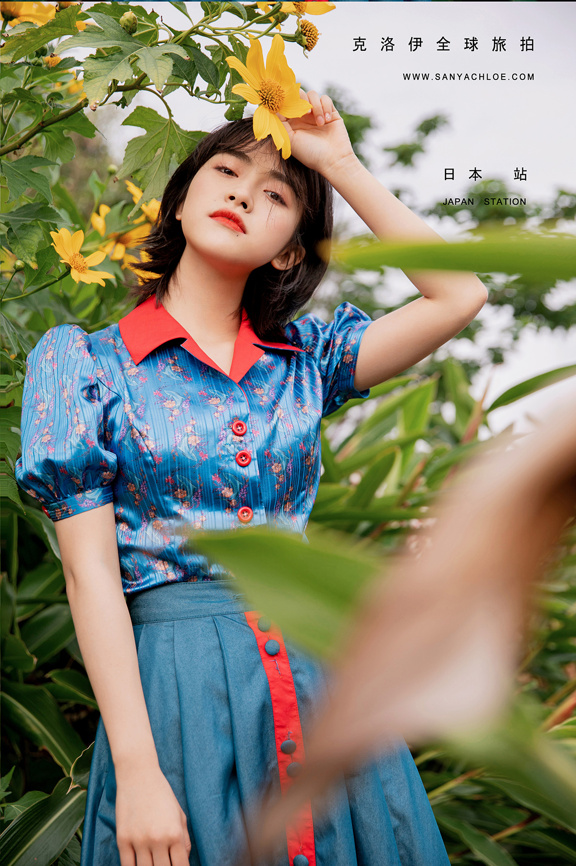 明星:沈月