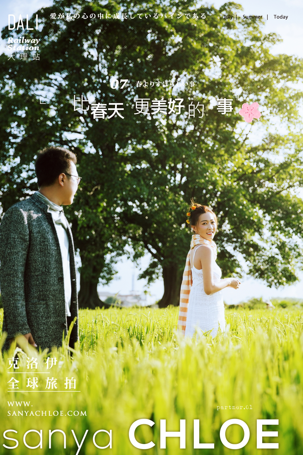 王先生&杨女士