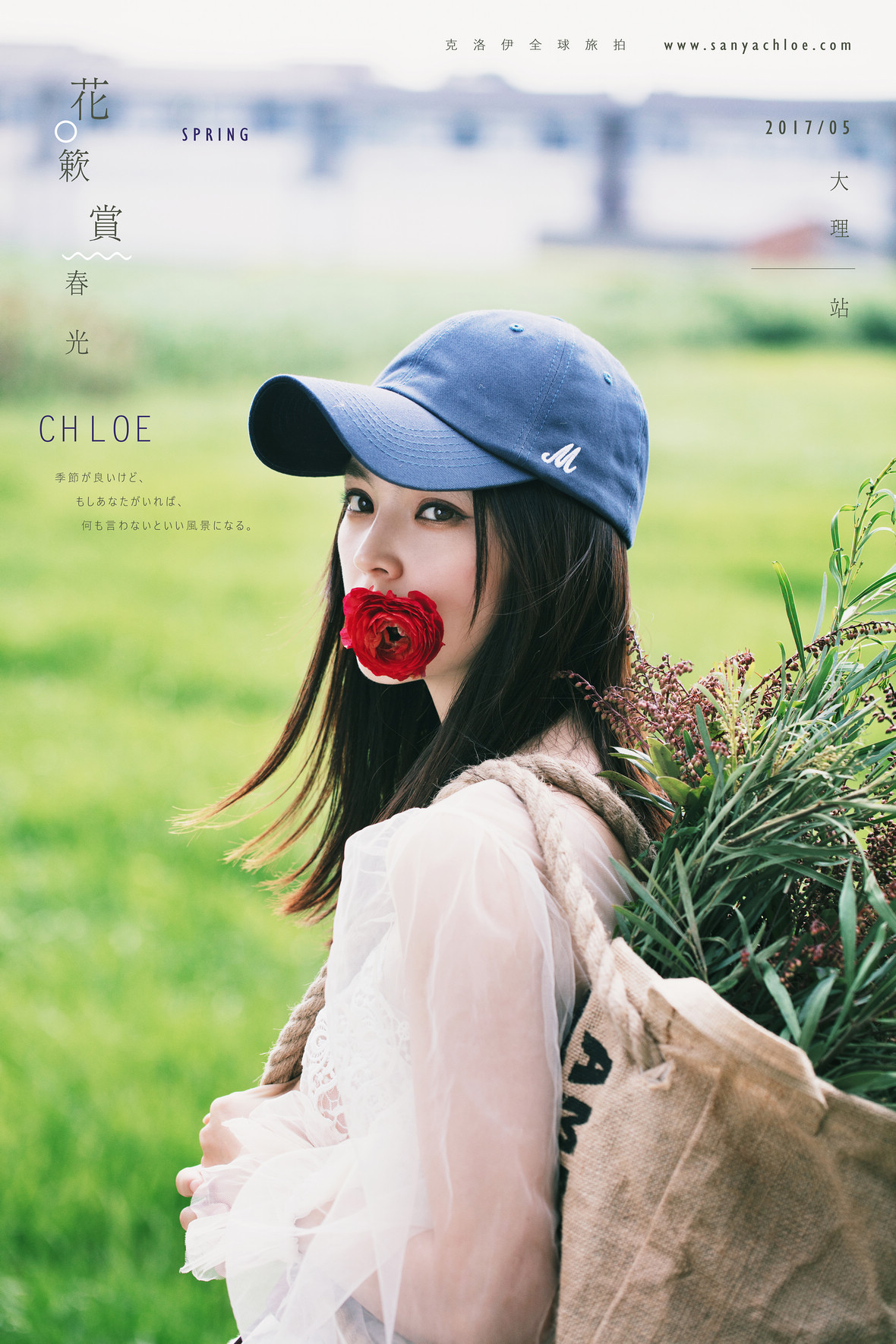 花簌赏春光