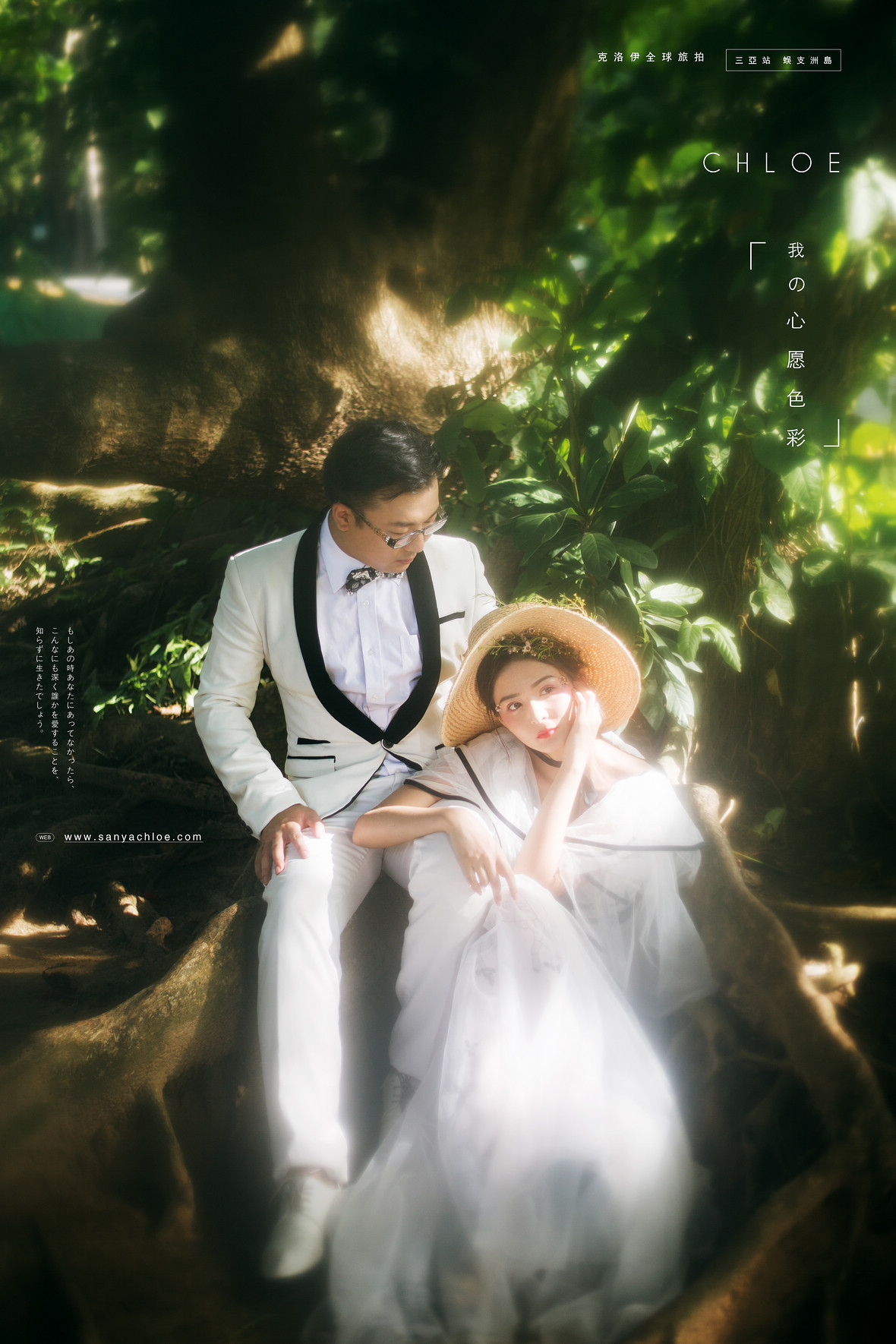 智先生&强女士