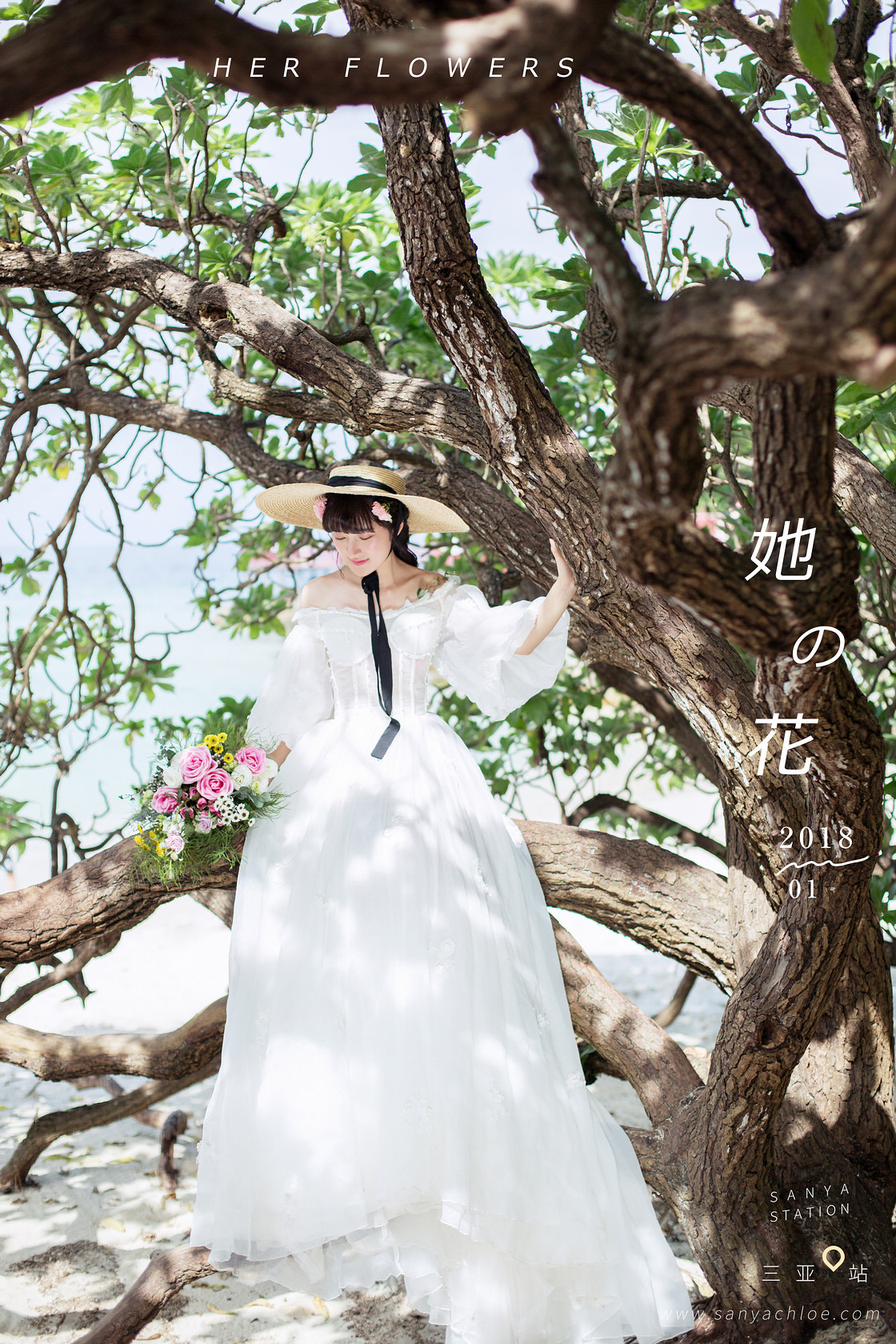 乐先生&董女士