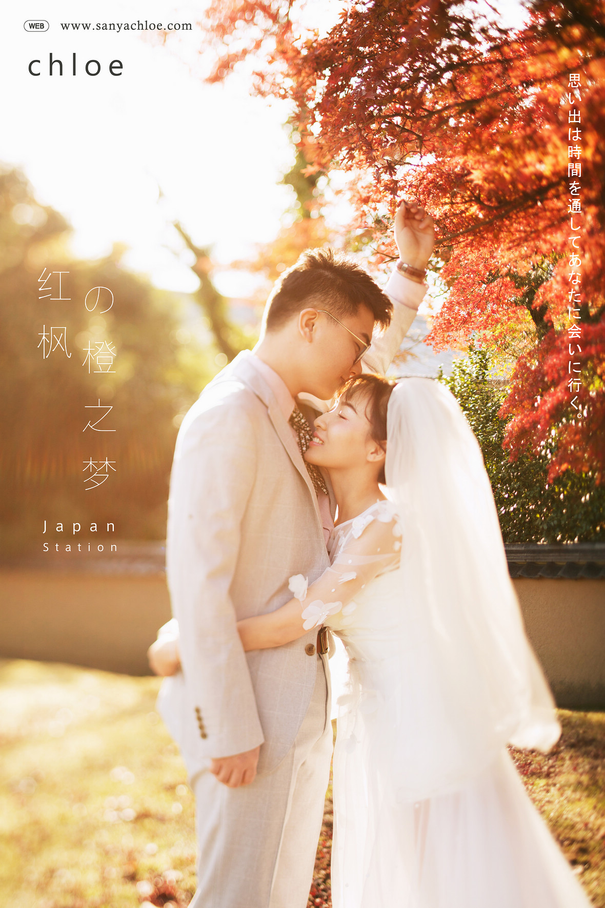 罗先生&陈女士