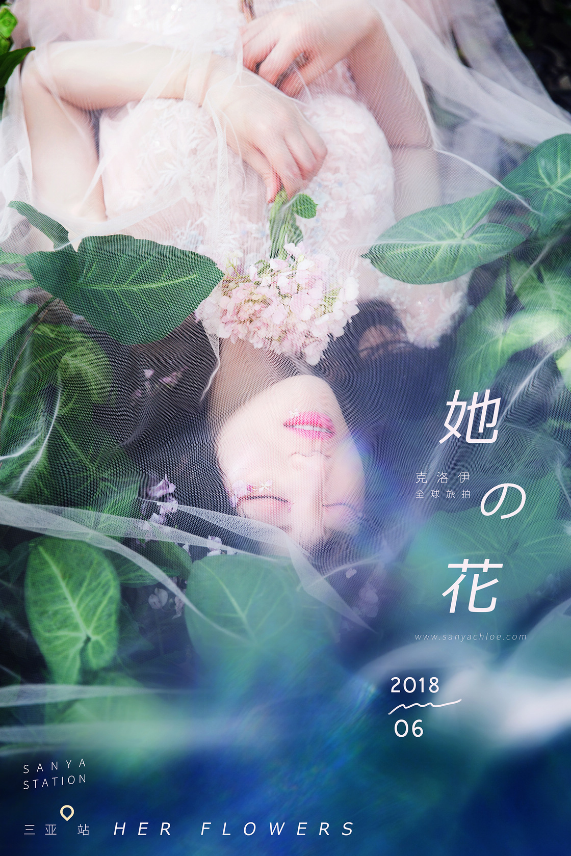 许先生&杨女士