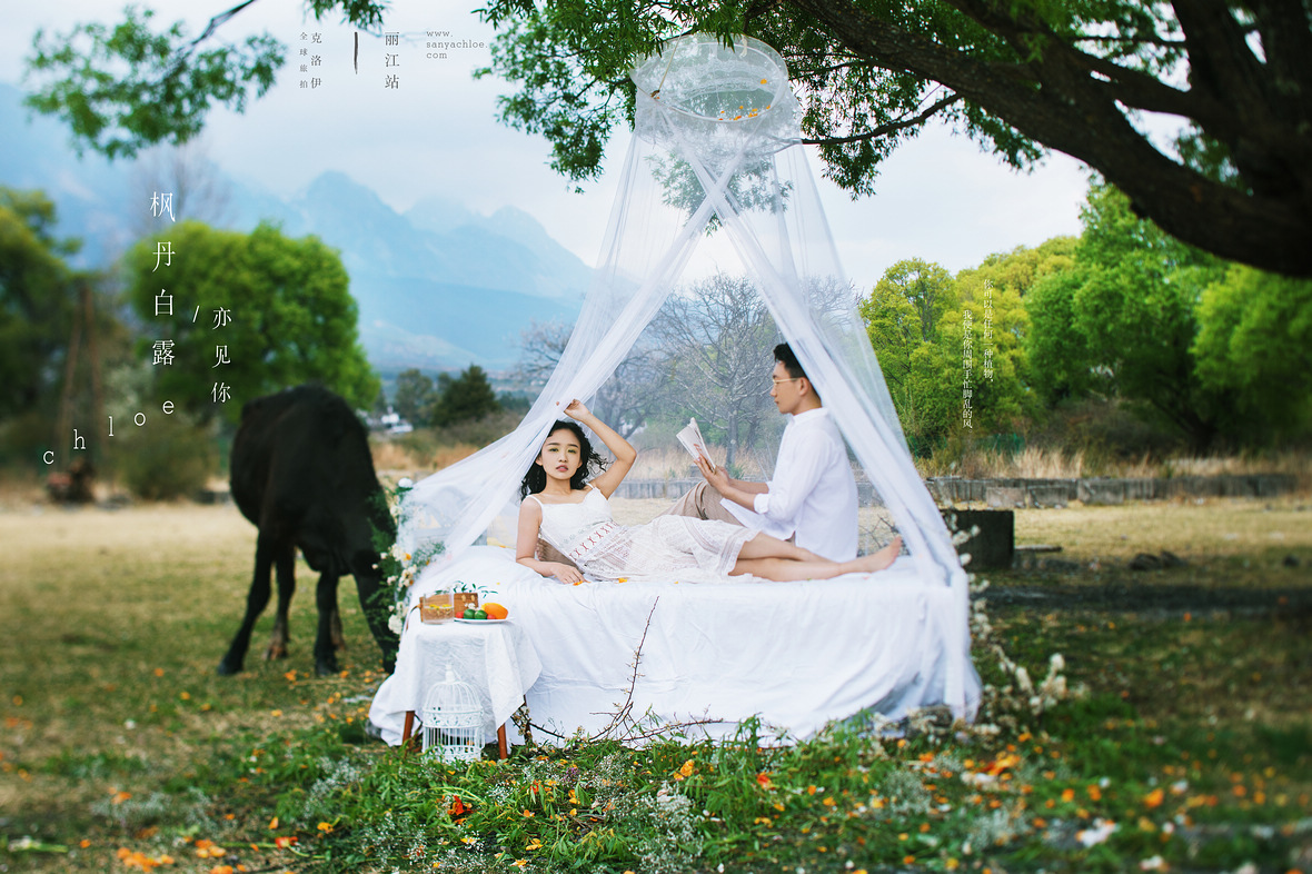 「煮茶赏花 拥抱自然」的婚纱照，才是真正的诗和远方
